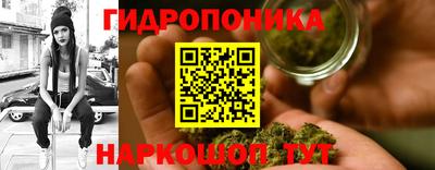 стафф Лесосибирск