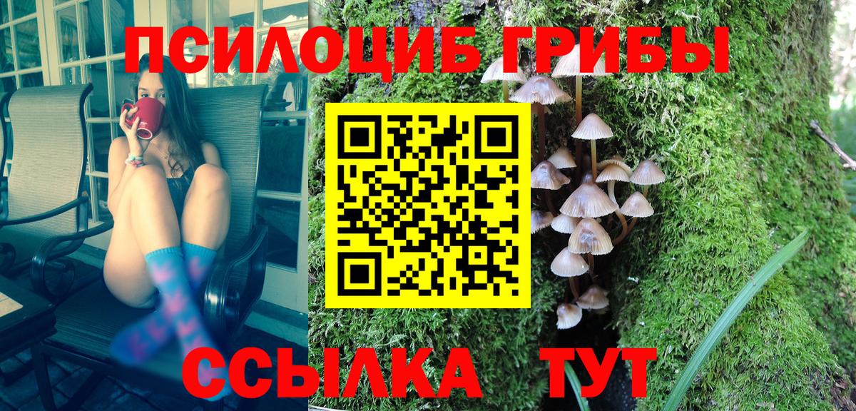 Псилоцибиновые грибы GOLDEN TEACHER Гуково