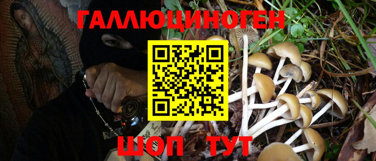 Псилоцибиновые грибы Magic Shrooms  Галлюциногенные грибы GOLDEN TEACHER  Гуково  Вход с VPN 